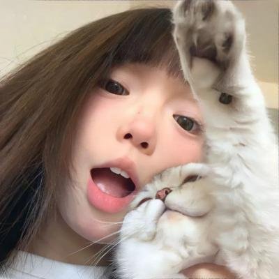 夏日大追击